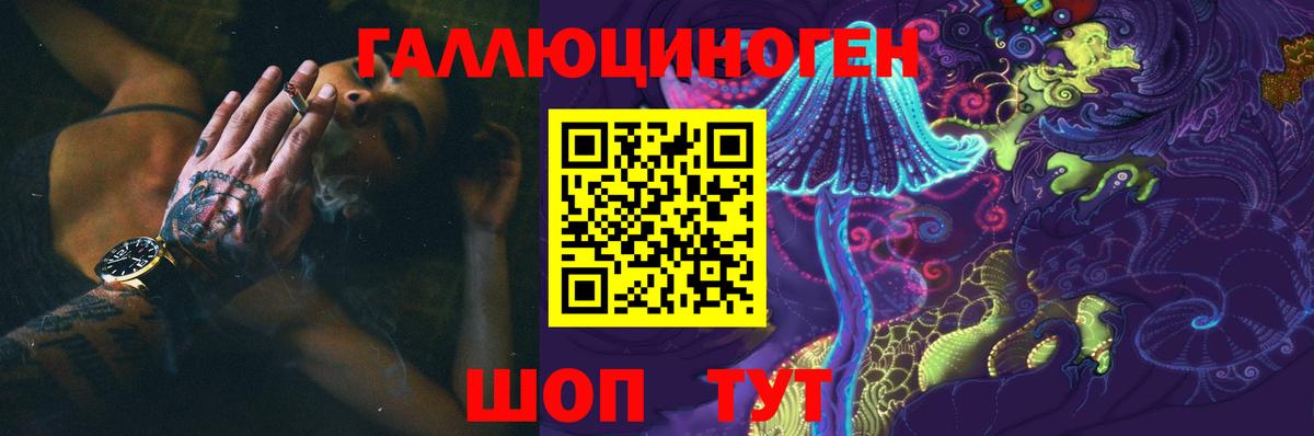 Пенза  хочу   Вход с VPN  Галлюциногенные грибы Cubensis 